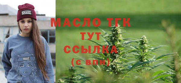 хмурый Арсеньев