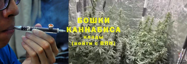 хмурый Арсеньев