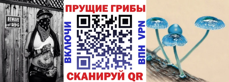 где найти наркотики Пятигорск Псилоцибиновые грибы мицелий